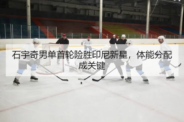 shi-yu-qi-nan-dan-shou-lun-xian-sheng-yin-ni-xin-xing-ti-neng-fen-pei-cheng-guan-jian-2-525.jpg
